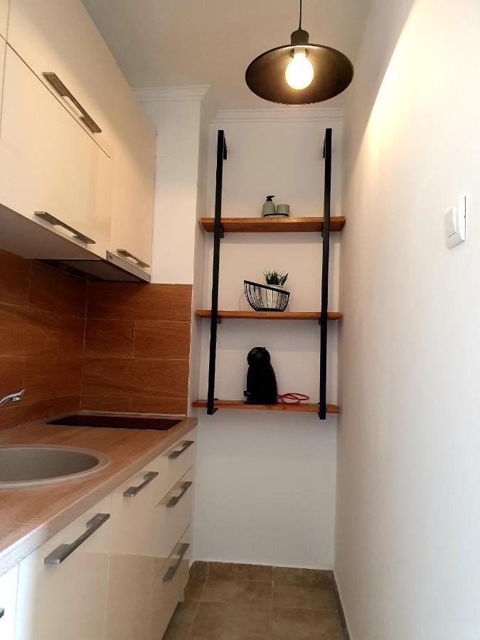 Anja & Ogo Apartments Sea View & Pool Petrovac 외부 사진